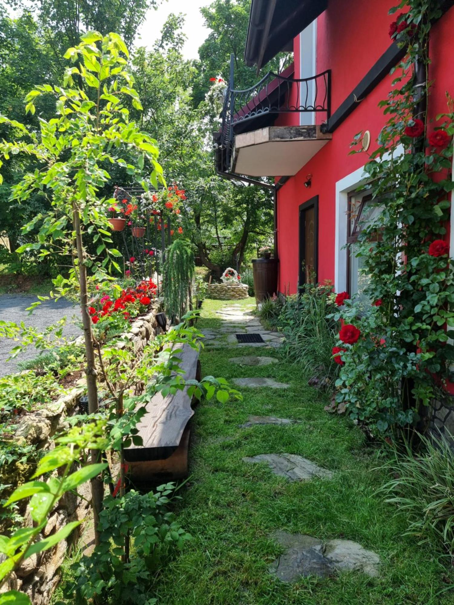 Apartamenty U Bodzia Stronie Śląskie Exterior foto